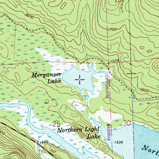 Topographic Map of Merganser Lake, MN
