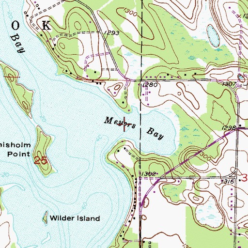 Topographic Map of Meyers Bay, MN