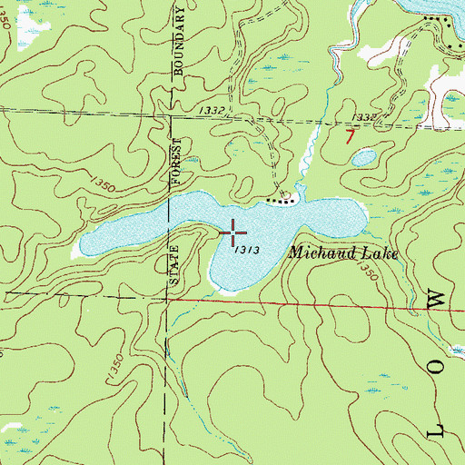 Topographic Map of Michaud Lake, MN