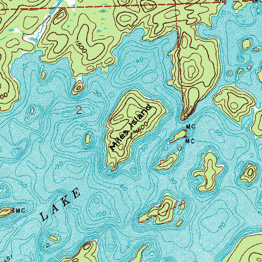 Topographic Map of Miles Island, MN