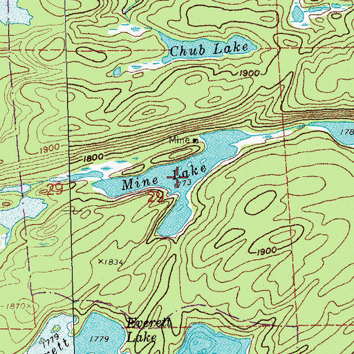 Topographic Map of Mine Lake, MN