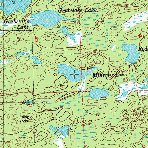 Topographic Map of Minerva Lake, MN
