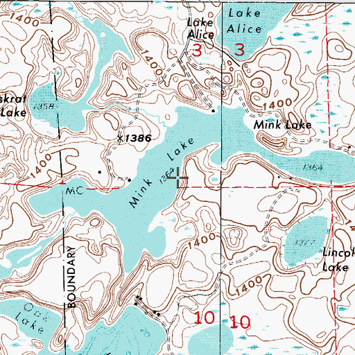 Topographic Map of Mink Lake, MN