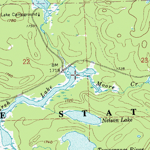 Topographic Map of Moore Creek, MN