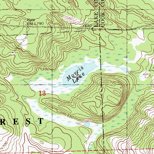 Topographic Map of Morris Lake, MN