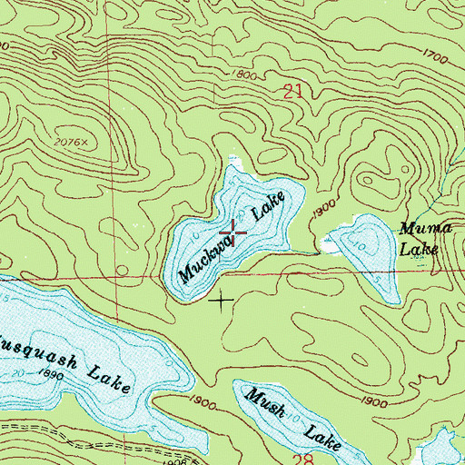 Topographic Map of Muckwa Lake, MN