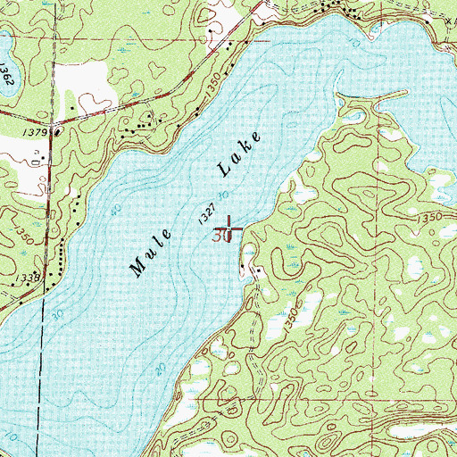 Topographic Map of Mule Lake, MN