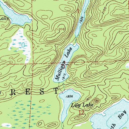 Topographic Map of Mulligan Lake, MN