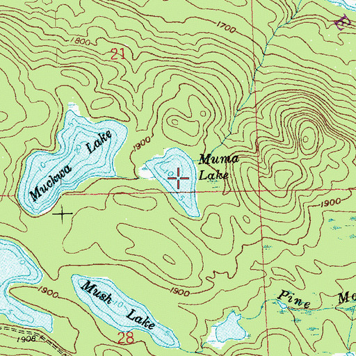 Topographic Map of Muma Lake, MN