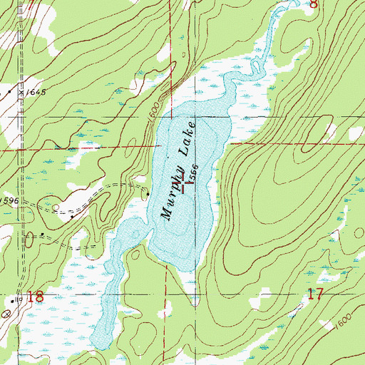 Topographic Map of Murphy Lake, MN