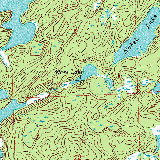 Topographic Map of Nave Lake, MN