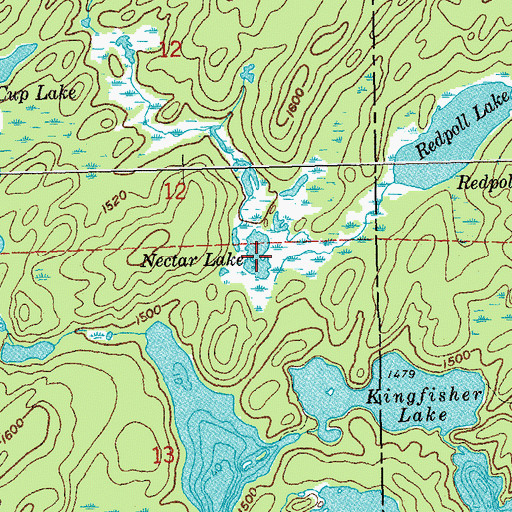 Topographic Map of Nectar Lake, MN