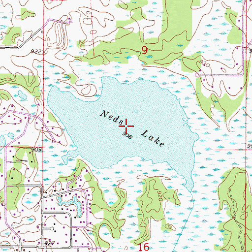 Topographic Map of Neds Lake, MN