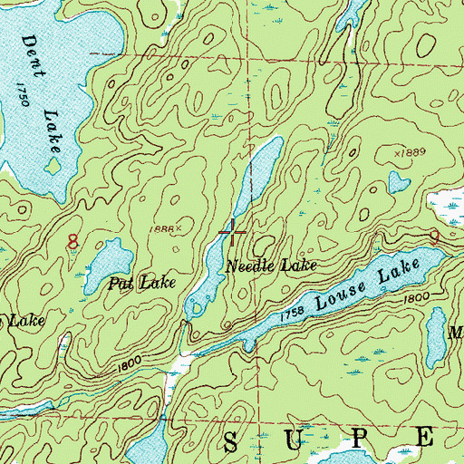 Topographic Map of Needle Lake, MN