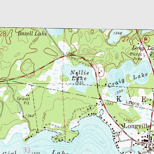 Topographic Map of Nellie Lake, MN