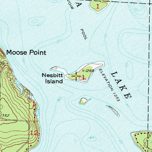 Topographic Map of Nesbitt Island, MN