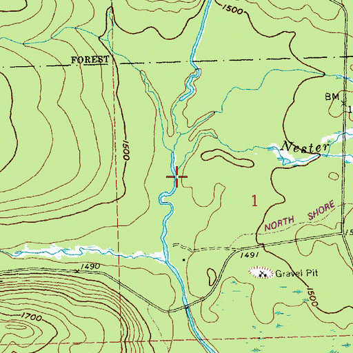 Topographic Map of Nester Creek, MN