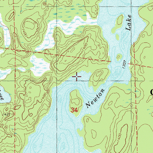 Topographic Map of Newton Lake, MN