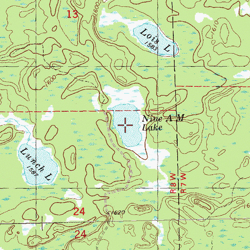 Topographic Map of Nine A M Lake, MN