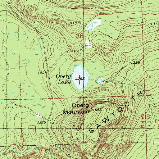 Topographic Map of Oberg Lake, MN