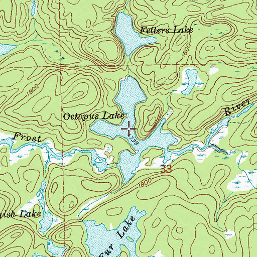 Topographic Map of Octopus Lake, MN