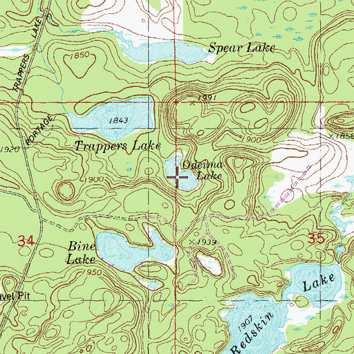 Topographic Map of Odeima Lake, MN