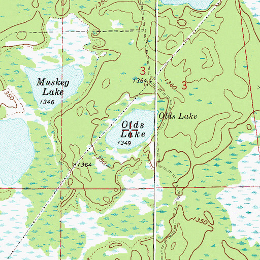 Topographic Map of Olds Lake, MN