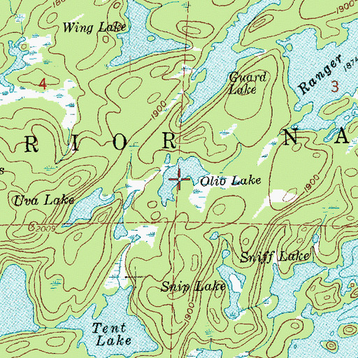 Topographic Map of Olio Lake, MN