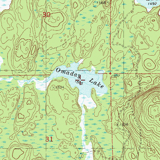 Topographic Map of Omaday Lake, MN