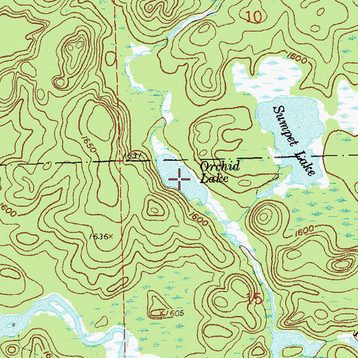 Topographic Map of Orchid Lake, MN