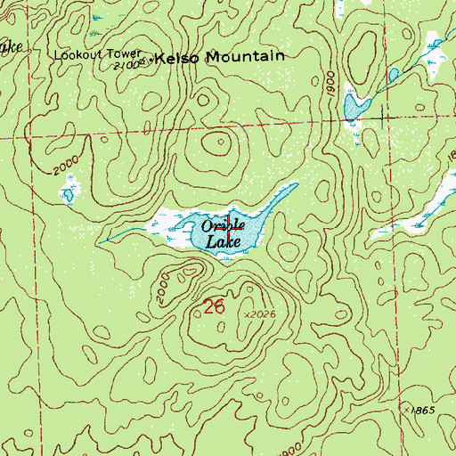 Topographic Map of Oriole Lake, MN