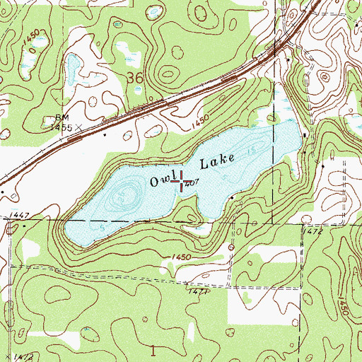 Topographic Map of Owl Lake, MN