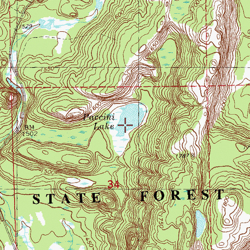 Topographic Map of Paccini Lake, MN