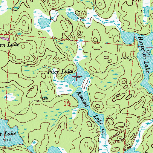 Topographic Map of Pace Lake, MN