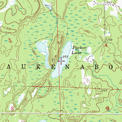 Topographic Map of Packer Lake, MN