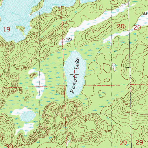 Topographic Map of Pangi Lake, MN