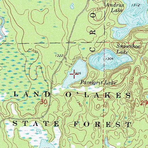 Topographic Map of Pavelgrit Lake, MN
