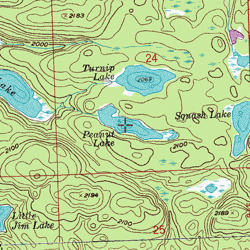 Topographic Map of Peanut Lake, MN