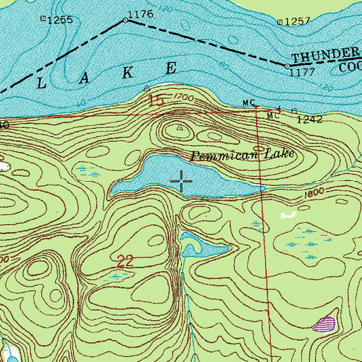 Topographic Map of Pemmican Lake, MN