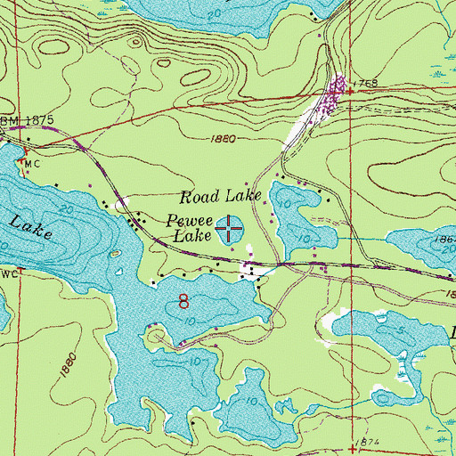 Topographic Map of Pewee Lake, MN