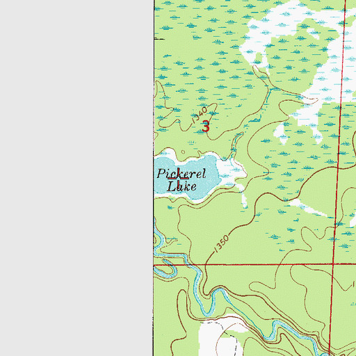 Topographic Map of Pickerel Lake, MN