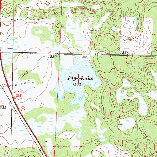 Topographic Map of Pig Lake, MN