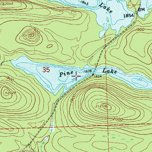 Topographic Map of Pine Lake, MN