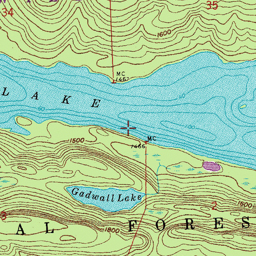 Topographic Map of Pine Lake, MN