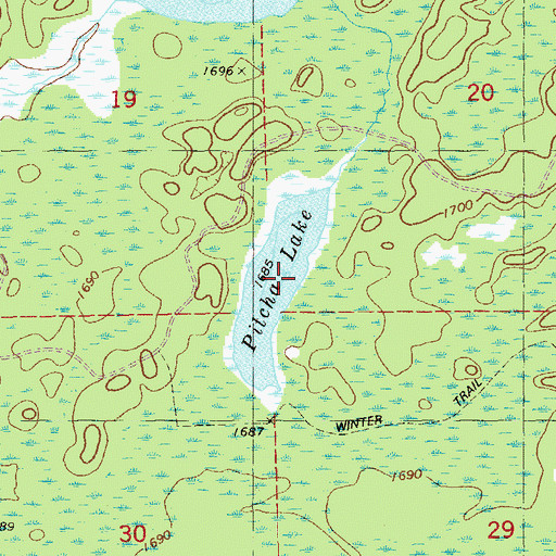 Topographic Map of Pitcha Lake, MN