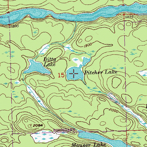 Topographic Map of Pitcher Lake, MN