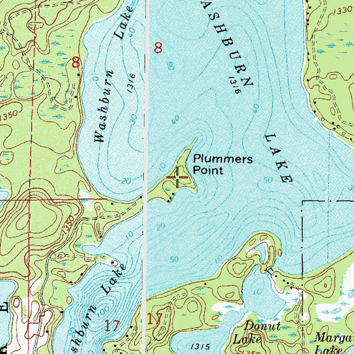 Topographic Map of Plummers Point, MN