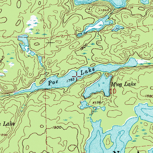 Topographic Map of Poe Lake, MN