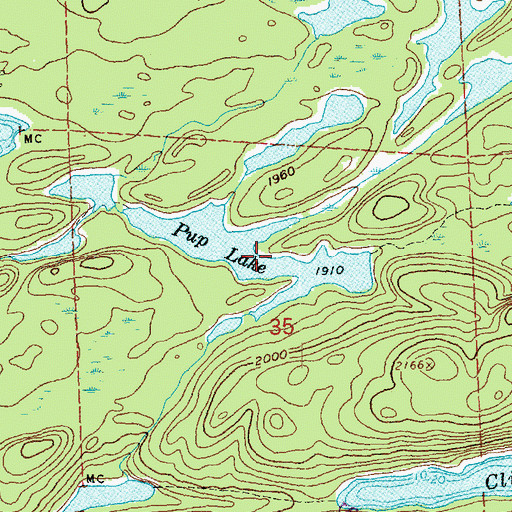 Topographic Map of Pup Lake, MN