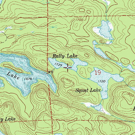 Topographic Map of Rally Lake, MN